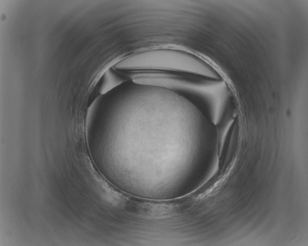 X0000083611289200702121106