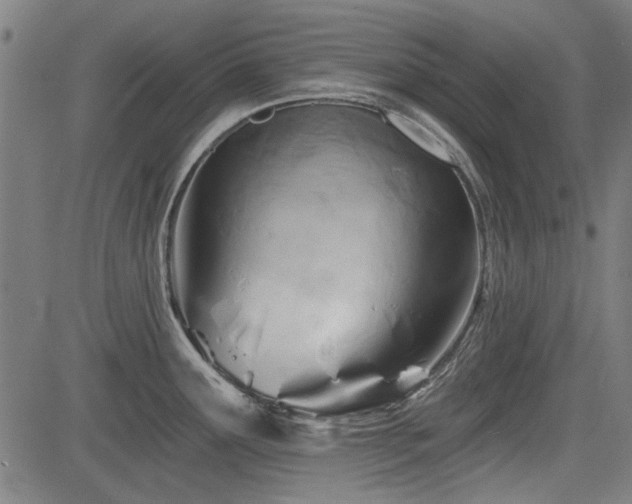 X0000083611291200702121106