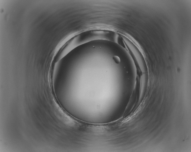 X0000083611293200702121106