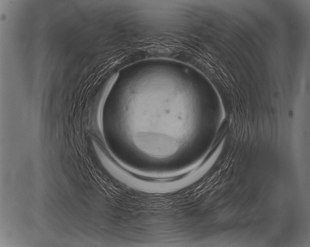 X0000083611297200702121105