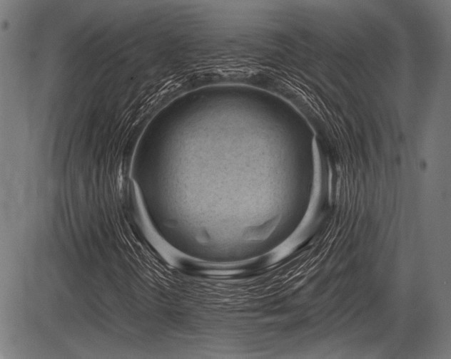 X0000083611298200702121105