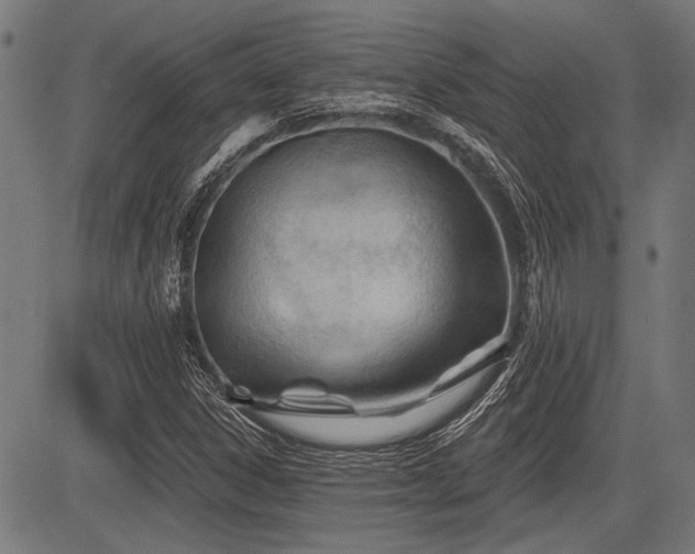 X0000083611306200702121105