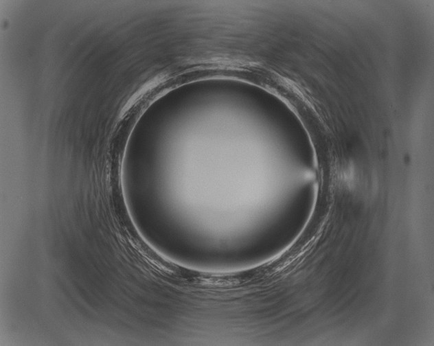 X0000083611307200702121105