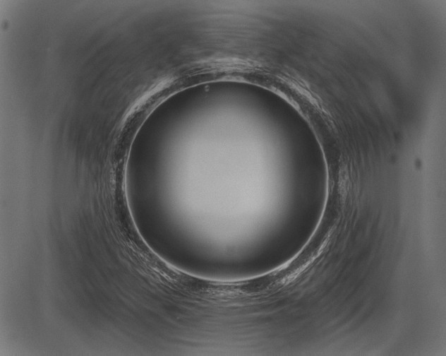 X0000083611309200702121105