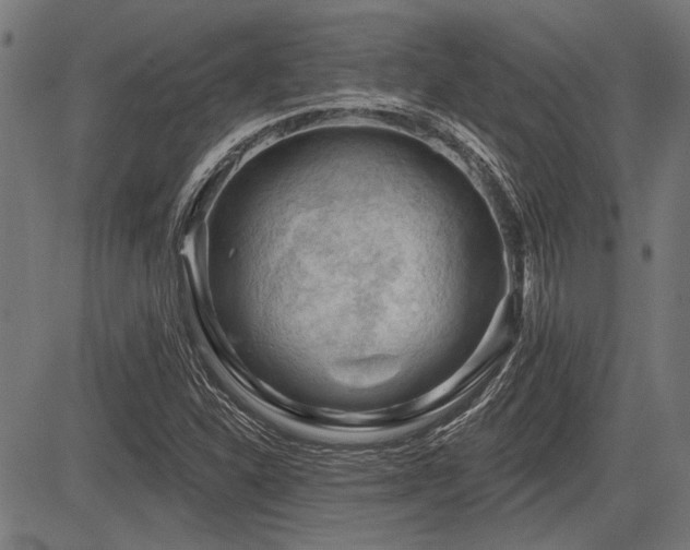 X0000083611310200702121105