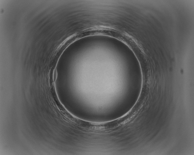 X0000083611313200702121105