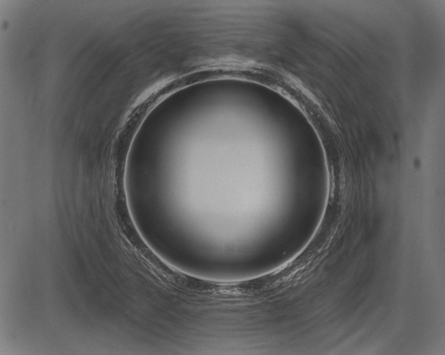 X0000083611315200702121105