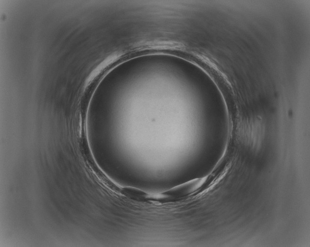 X0000083611317200702121105