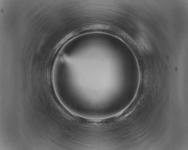 X0000083611321200702121105