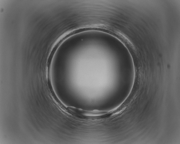 X0000083611324200702121105