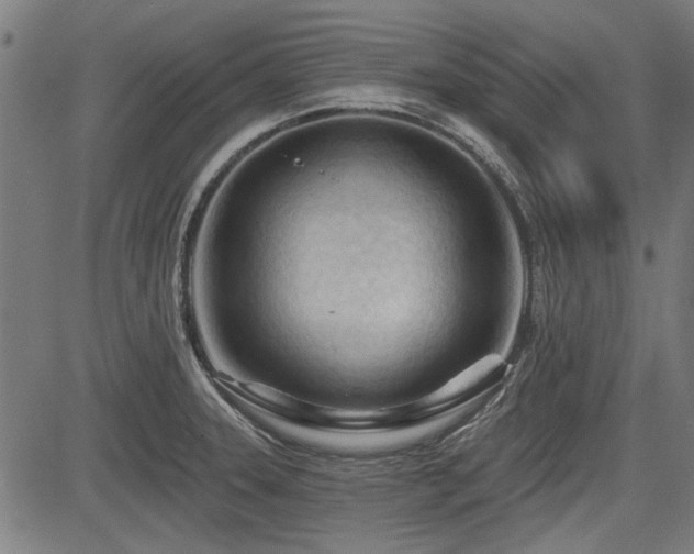 X0000083611331200702121105