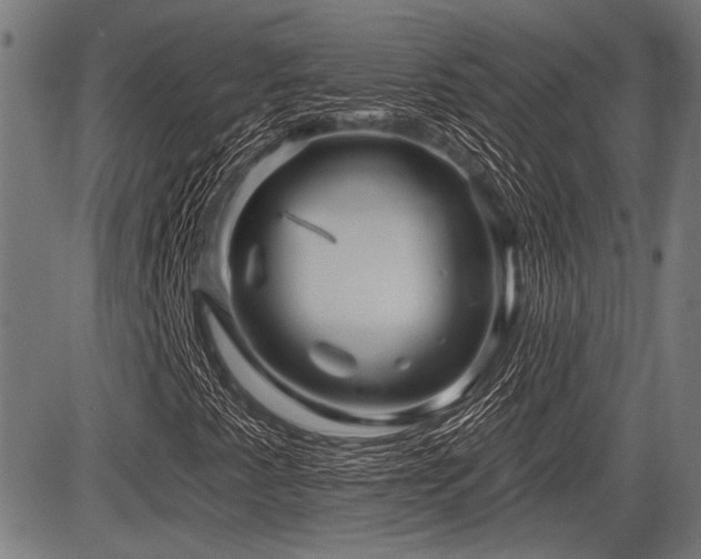 X0000083611345200702121105