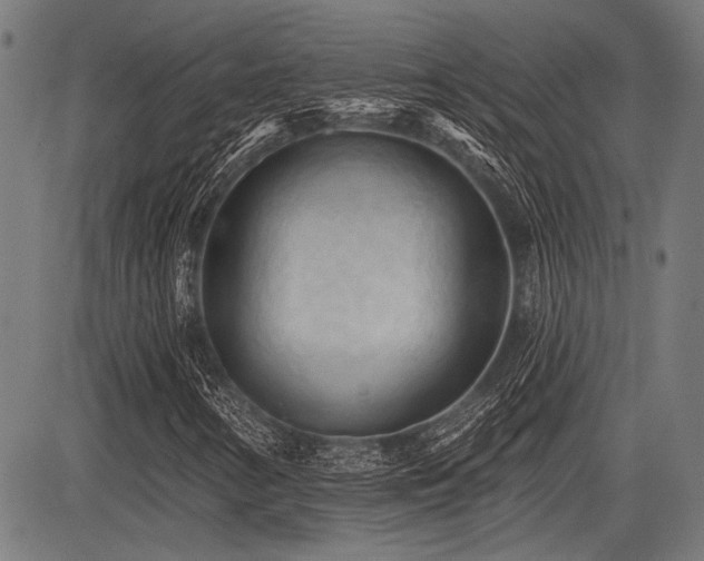 X0000083611346200702121105