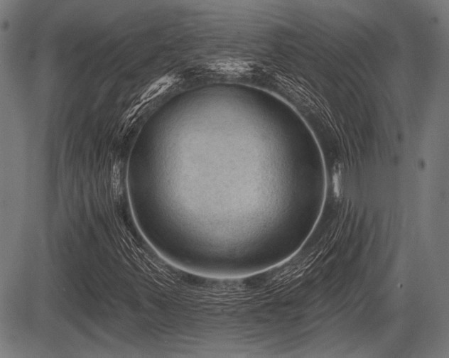 X0000083611347200702121105