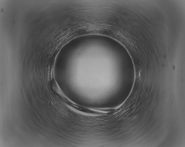 X0000083611348200702121105