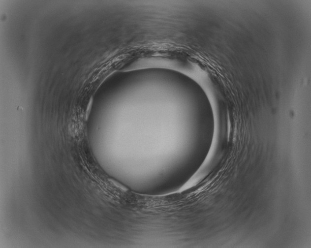 X0000083611349200702121105