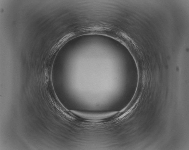 X0000083611353200702121105