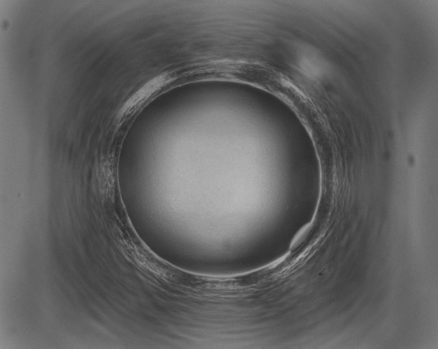 X0000083611354200702121105