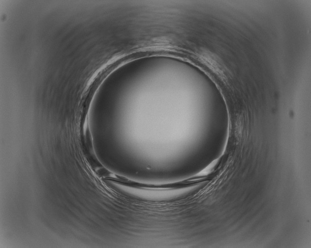 X0000083611356200702121105