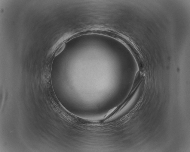 X0000083611359200702121105
