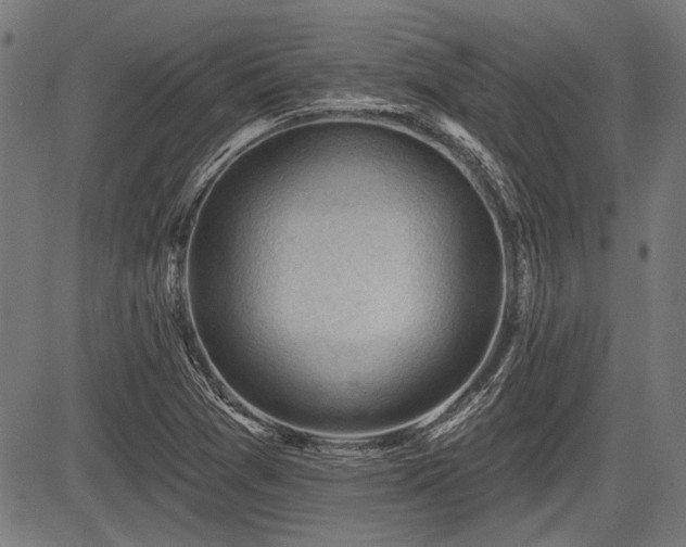X0000083611361200702121105