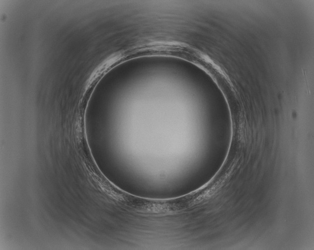 X0000083611362200702121105