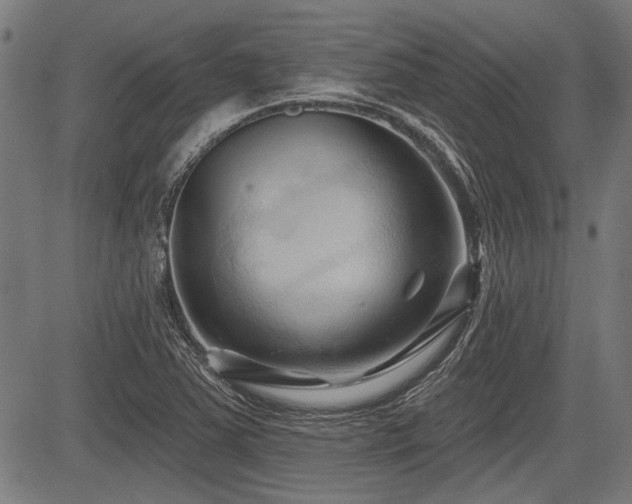 X0000083611363200702121105