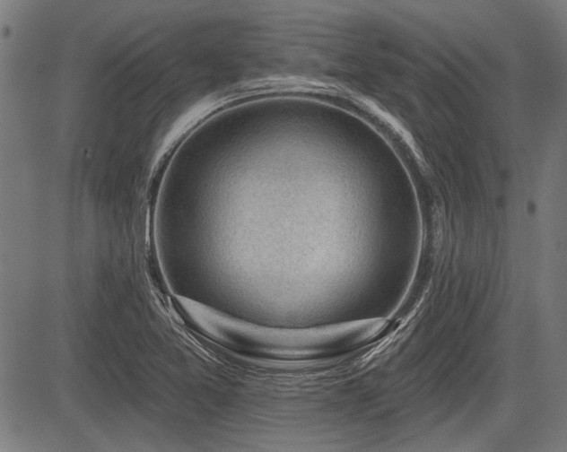 X0000083611365200702121104