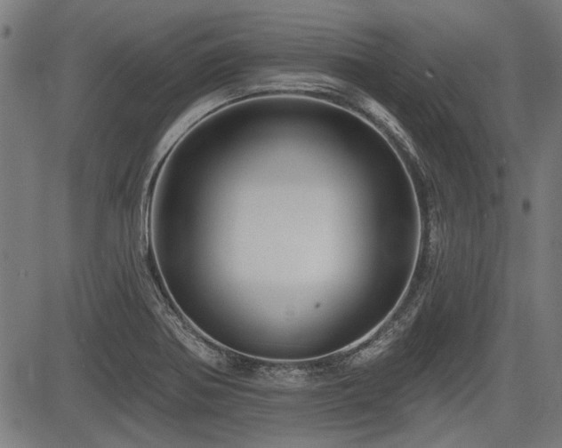 X0000083611370200702121104
