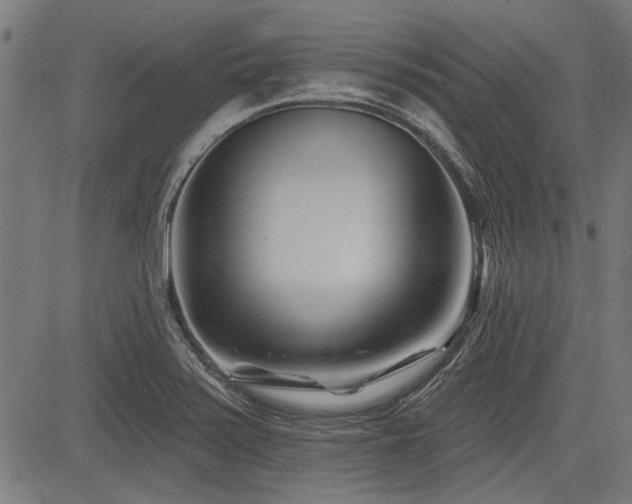 X0000083611371200702121104