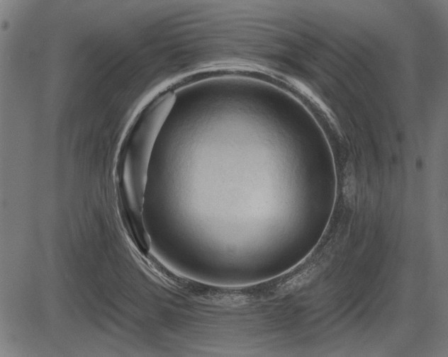 X0000083611372200702121104