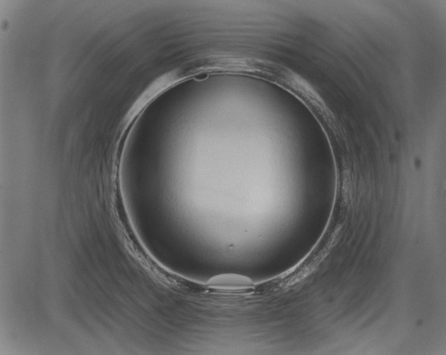 X0000083611378200702121104