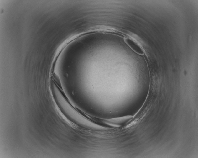 X0000083611379200702121104
