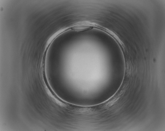 X0000083611387200702121104