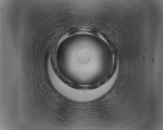 X0000083611393200702121103