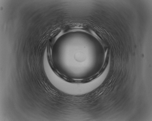 X0000083611394200702121103