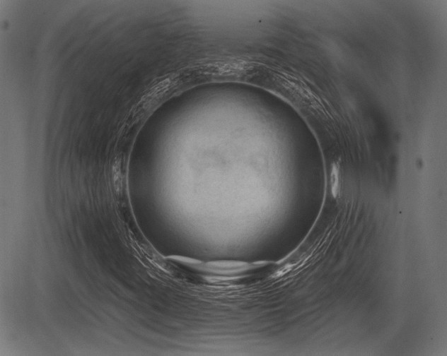 X0000083611395200702121103