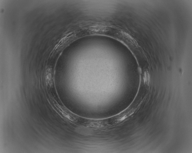 X0000083611396200702121103