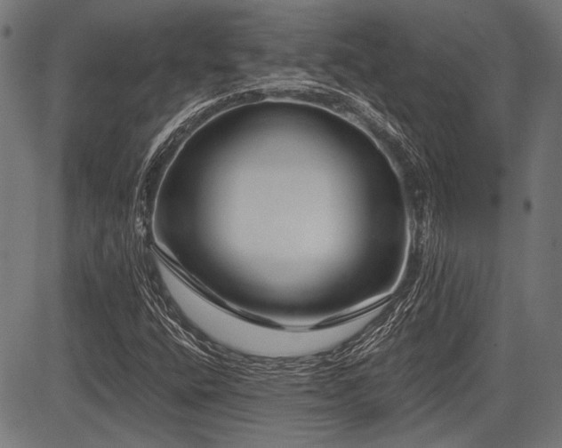 X0000083611400200702121103