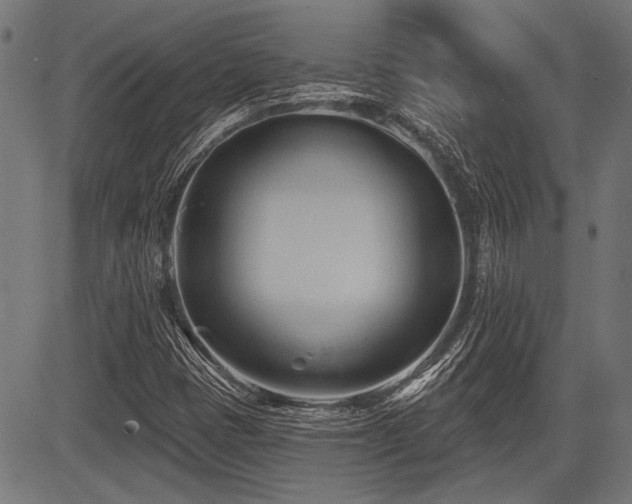 X0000083611401200702121103