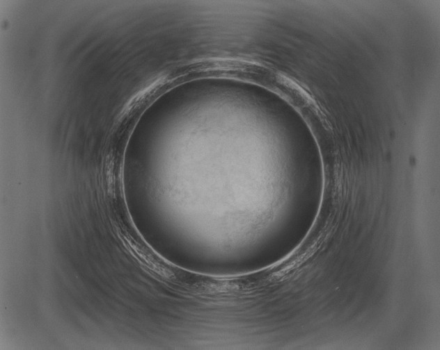 X0000083611403200702121103