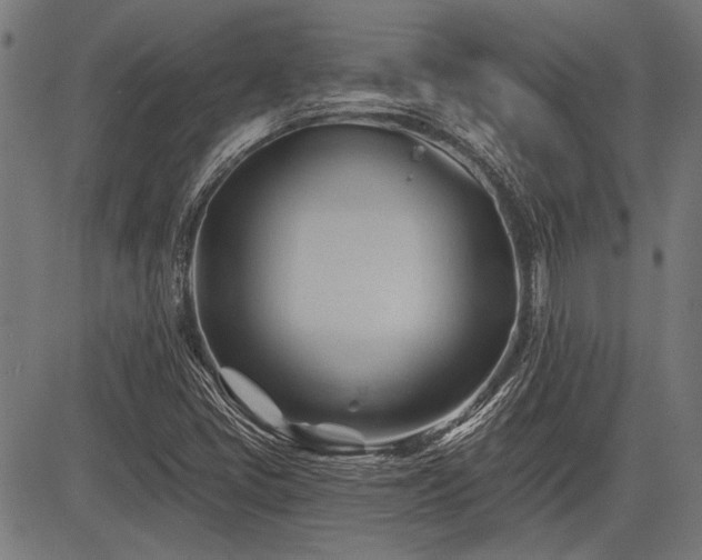 X0000083611405200702121103