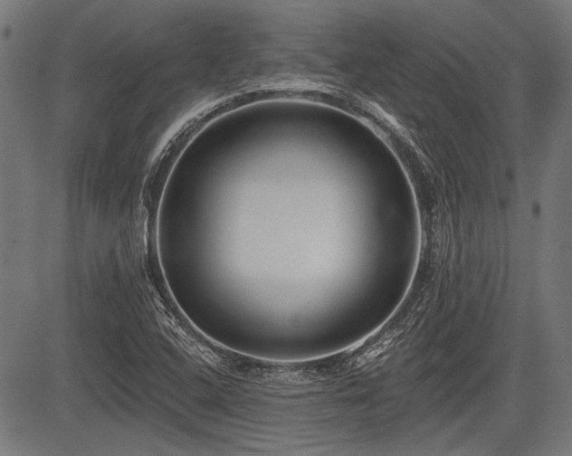 X0000083611408200702121103