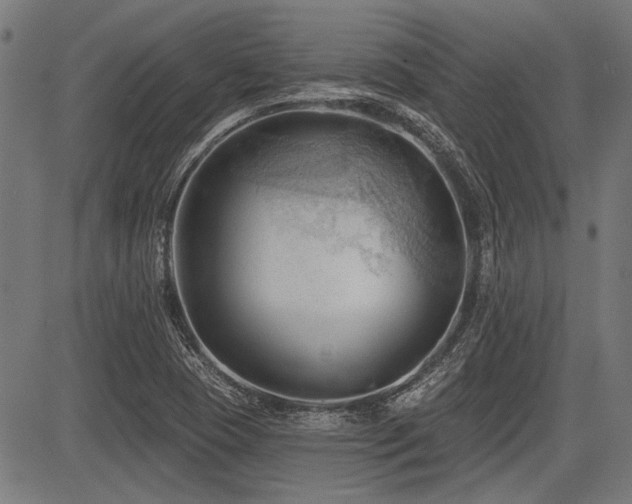 X0000083611409200702121104