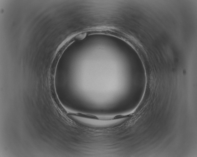 X0000083611412200702121104