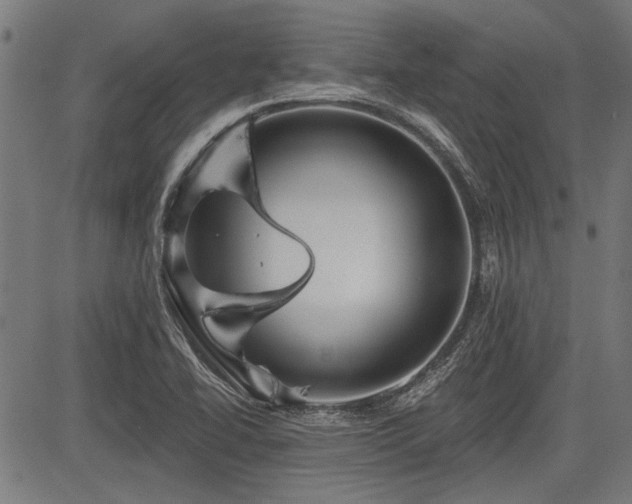 X0000083611414200702121104