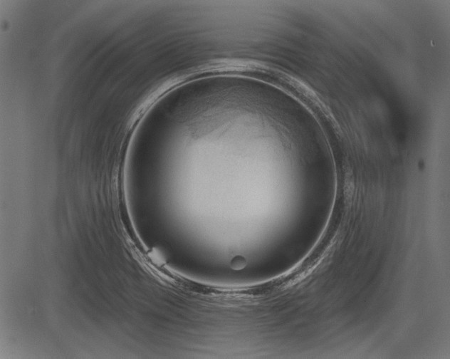 X0000083611417200702121104