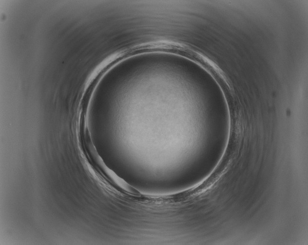 X0000083611418200702121104