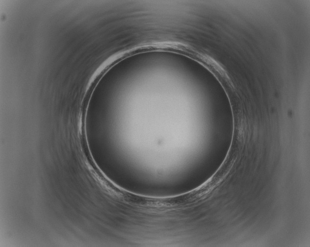 X0000083611420200702121104