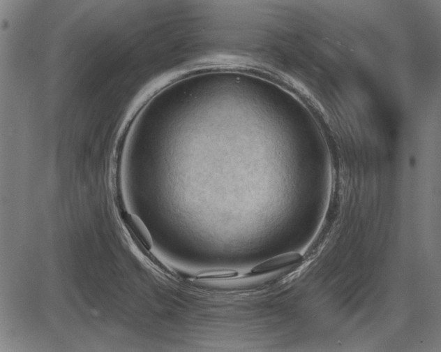 X0000083611421200702121104